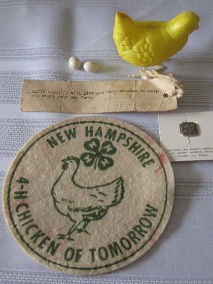 At graduation I was given this chicken because I raised them in 4-H.