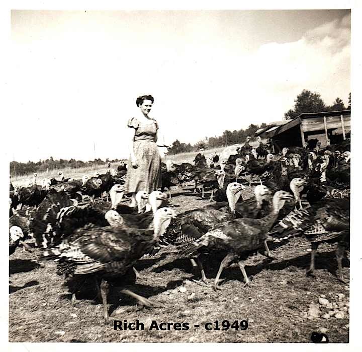 Rich Acres Farm in 1949