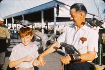 BudAl_Pigeons